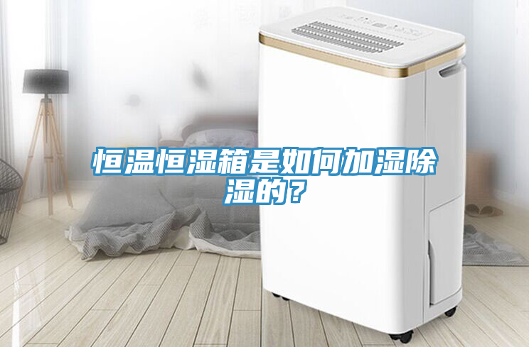 恒溫恒濕箱是如何加濕除濕的？