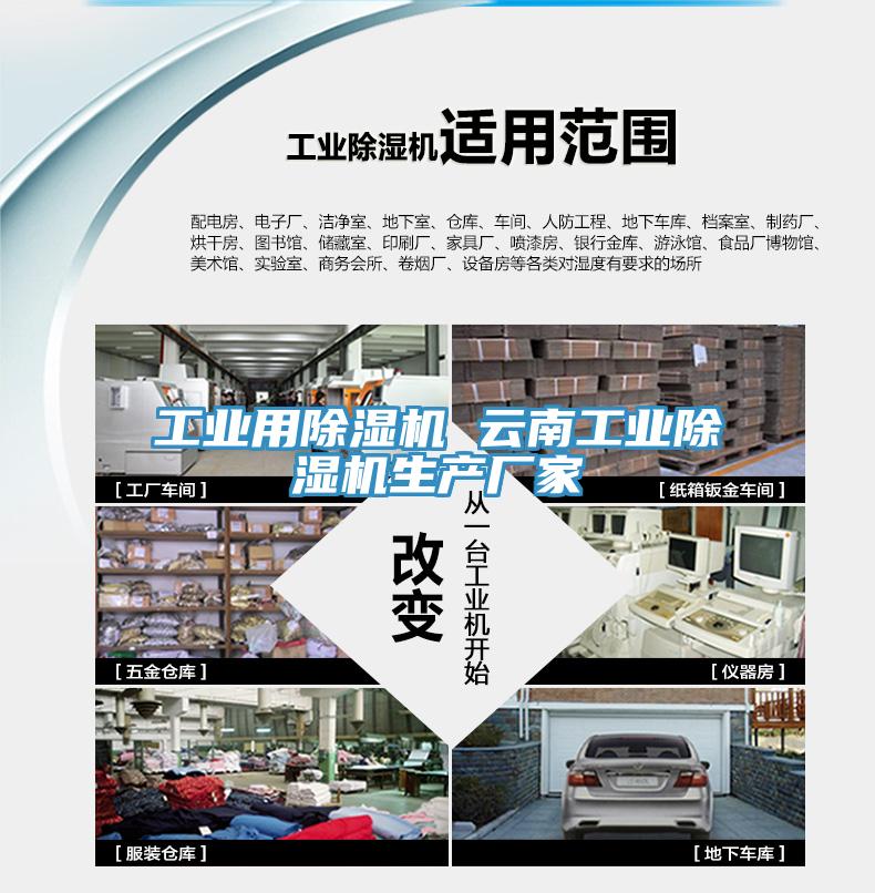工業用蘑菇视频网站 雲南工業蘑菇视频网站生產廠家