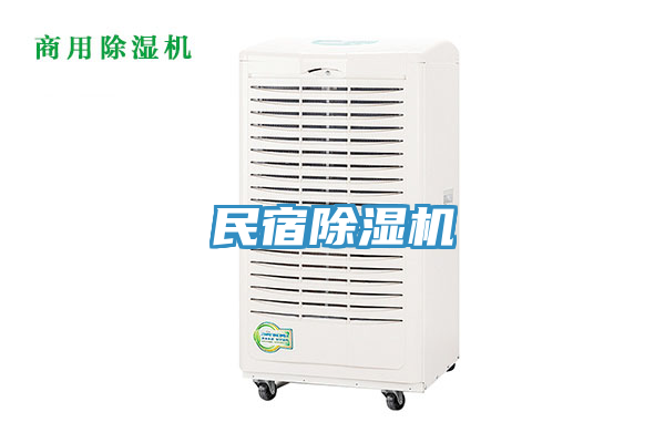 民宿蘑菇视频网站