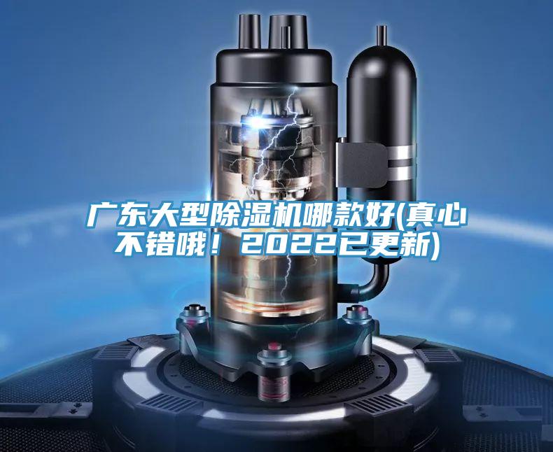 廣東大型蘑菇视频网站哪款好(真心不錯哦！2022已更新)
