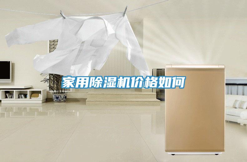 家用蘑菇视频网站價格如何
