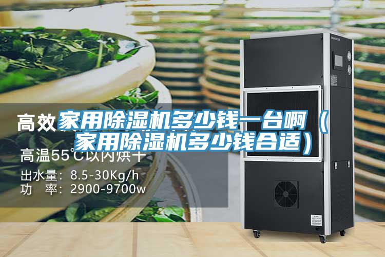 家用蘑菇视频网站多少錢一台啊（家用蘑菇视频网站多少錢合適）