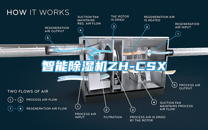 智能蘑菇视频网站ZH-CSX