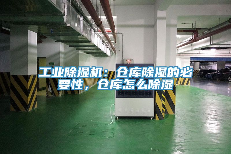 工業蘑菇视频网站：倉庫除濕的必要性，倉庫怎麽除濕