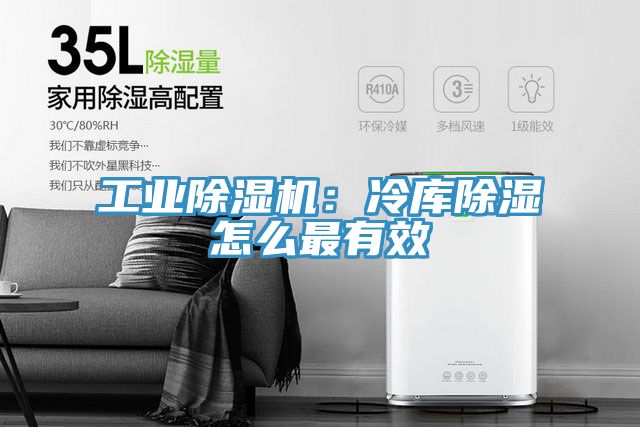 工業蘑菇视频网站：冷庫除濕怎麽最有效