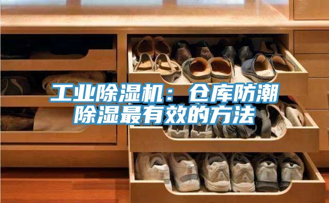 工業蘑菇视频网站：倉庫防潮除濕最有效的方法