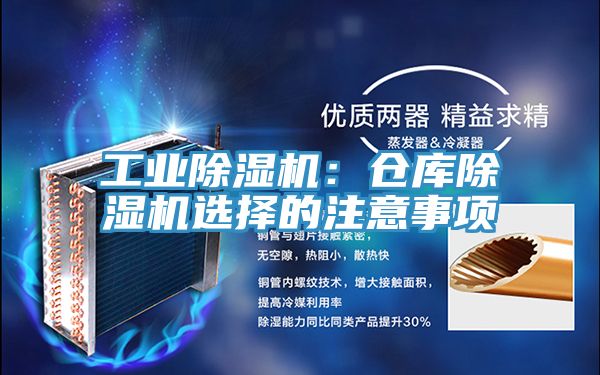 工業蘑菇视频网站：倉庫蘑菇视频网站選擇的注意事項