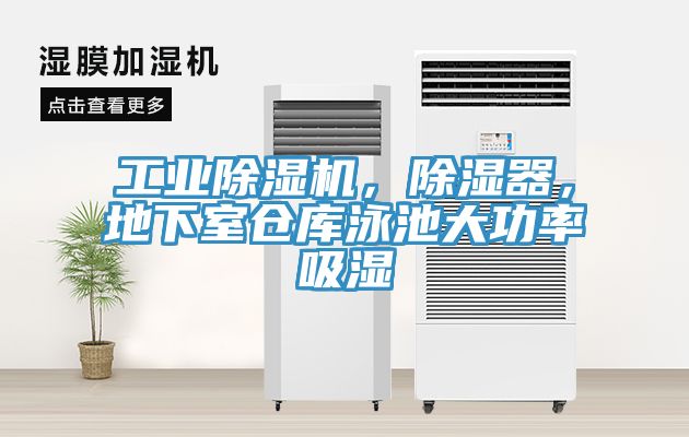 工業蘑菇视频网站，除濕器，地下室倉庫泳池大功率吸濕