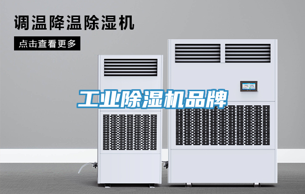 工業蘑菇视频网站品牌
