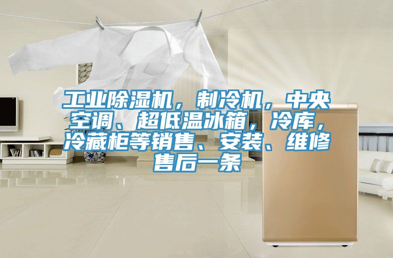 工業蘑菇视频网站，製冷機，中央空調、超低溫冰箱，冷庫，冷藏櫃等銷售、安裝、維修售後一條