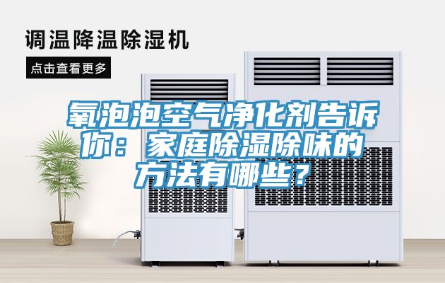 氧泡泡空氣淨化劑告訴你：家庭除濕除味的方法有哪些？