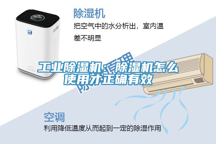 工業蘑菇视频网站：蘑菇视频网站怎麽使用才正確有效