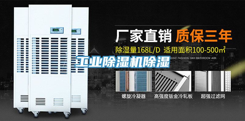 工業蘑菇视频网站除濕