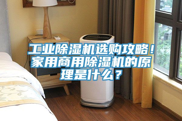 工業蘑菇视频网站選購攻略！家用商用蘑菇视频网站的原理是什麽？
