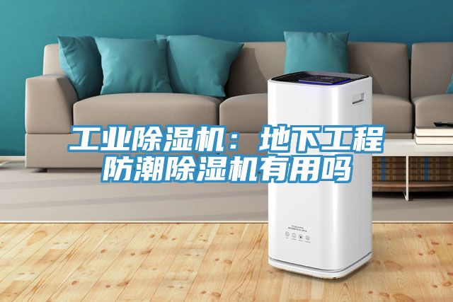工業蘑菇视频网站：地下工程防潮蘑菇视频网站有用嗎