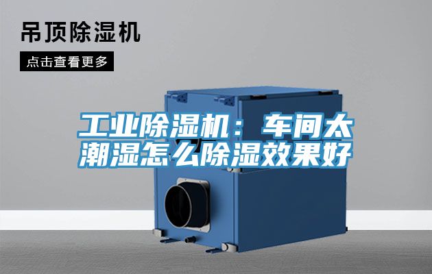 工業蘑菇视频网站：車間太潮濕怎麽除濕效果好
