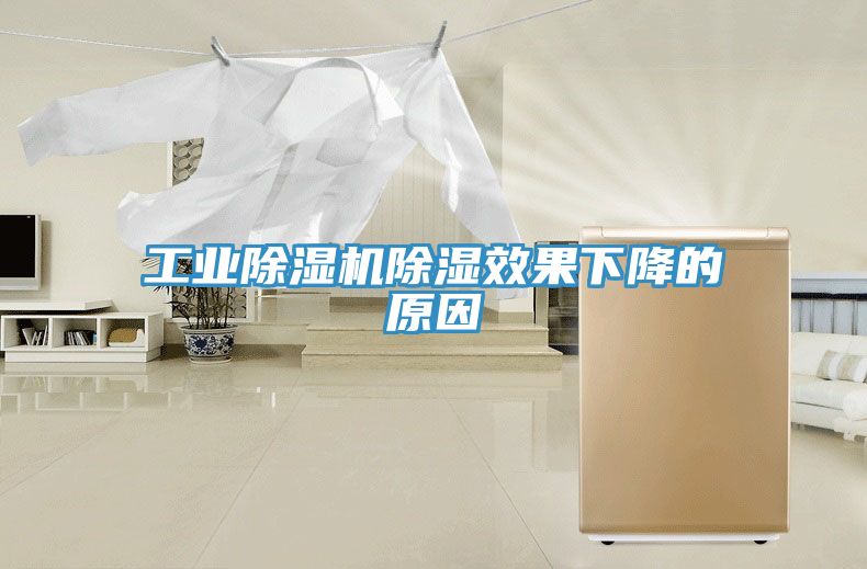 工業蘑菇视频网站除濕效果下降的原因
