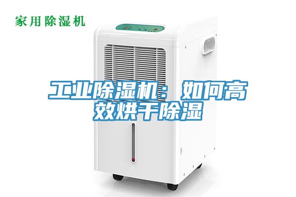 工業蘑菇视频网站：如何高效烘幹除濕