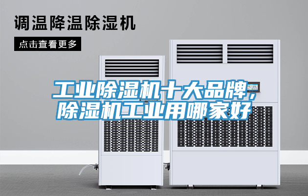 工業蘑菇视频网站十大品牌，蘑菇视频网站工業用哪家好