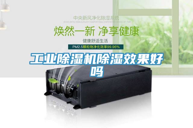 工業蘑菇视频网站除濕效果好嗎