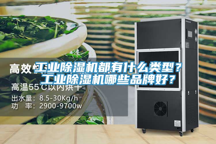 工業蘑菇视频网站都有什麽類型？工業蘑菇视频网站哪些品牌好？