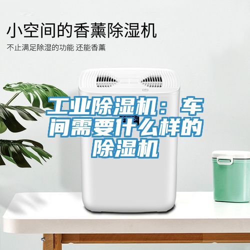 工業蘑菇视频网站：車間需要什麽樣的蘑菇视频网站