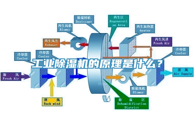 工業蘑菇视频网站的原理是什麽？