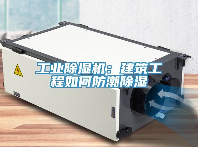 工業蘑菇视频网站：建築工程如何防潮除濕