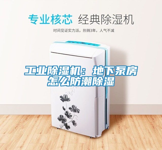 工業蘑菇视频网站：地下泵房怎麽防潮除濕