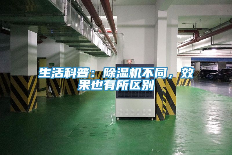 生活科普：蘑菇视频网站不同，效果也有所區別