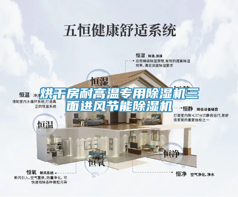 烘幹房耐高溫專用蘑菇视频网站三麵進風節能蘑菇视频网站
