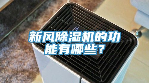 新風蘑菇视频网站的功能有哪些？
