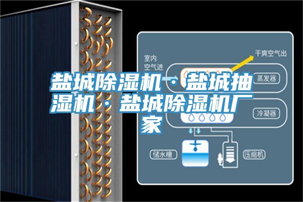 鹽城蘑菇视频网站·鹽城抽濕機·鹽城蘑菇视频网站廠家