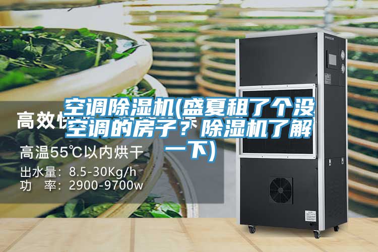 空調蘑菇视频网站(盛夏租了個沒空調的房子？蘑菇视频网站了解一下)
