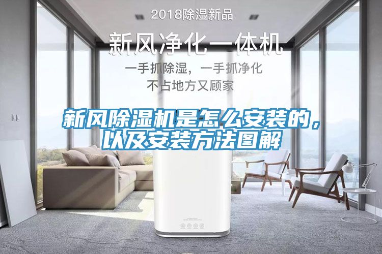 新風蘑菇视频网站是怎麽安裝的，以及安裝方法圖解