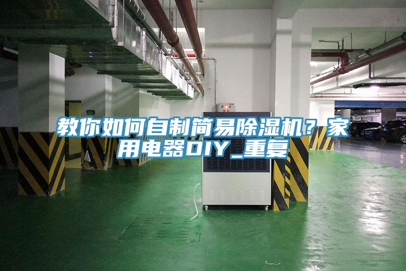 教你如何自製簡易蘑菇视频网站？家用電器DIY_重複