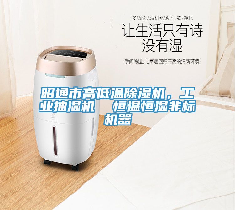 昭通市高低溫蘑菇视频网站，工業抽濕機  恒溫恒濕非標機器
