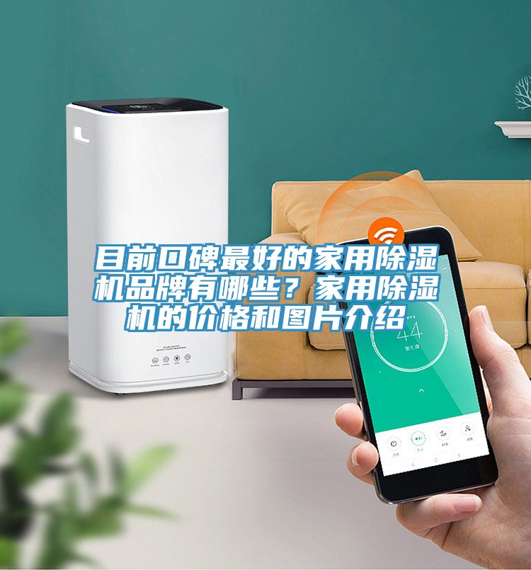 目前口碑最好的家用蘑菇视频网站品牌有哪些？家用蘑菇视频网站的價格和圖片介紹