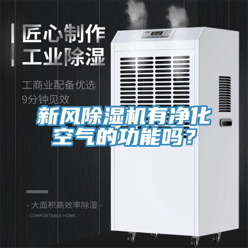 新風蘑菇视频网站有淨化空氣的功能嗎？