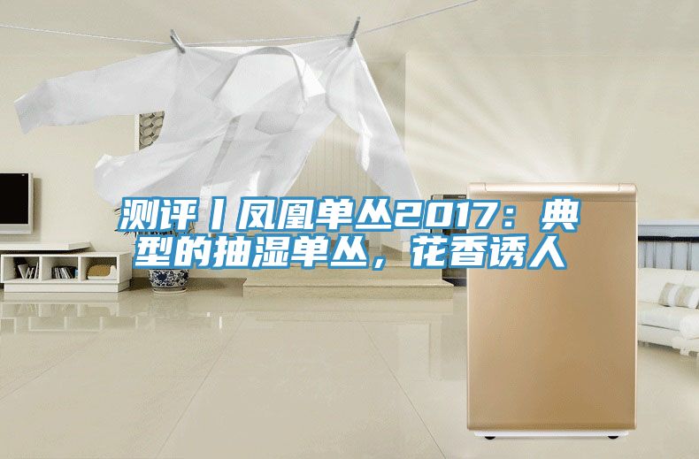 測評丨鳳凰單叢2017：典型的抽濕單叢，花香誘人