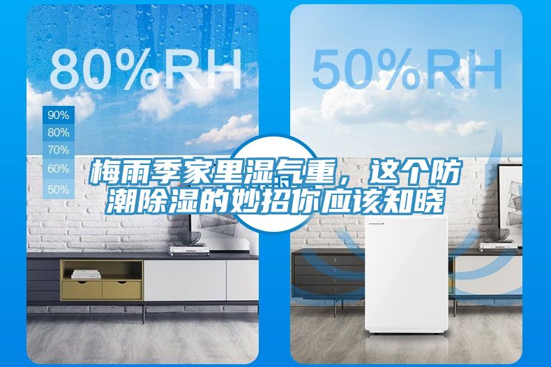 梅雨季家裏濕氣重，這個防潮除濕的妙招你應該知曉