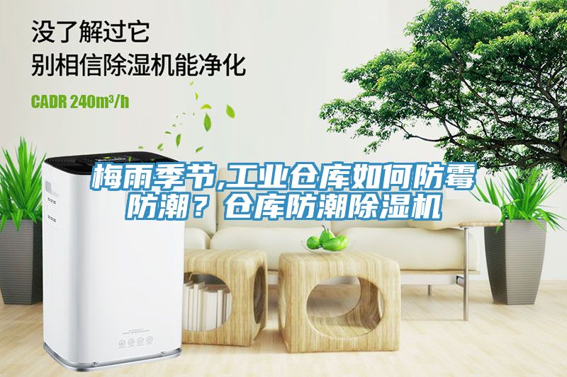 梅雨季節,工業倉庫如何防黴防潮？倉庫防潮蘑菇视频网站