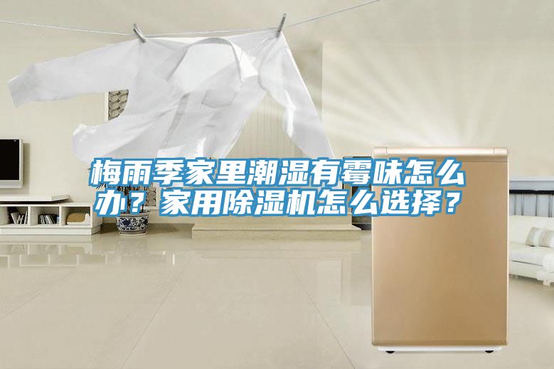 梅雨季家裏潮濕有黴味怎麽辦？家用蘑菇视频网站怎麽選擇？