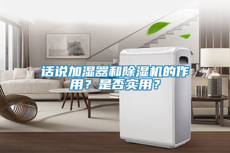 話說加濕器和蘑菇视频网站的作用？是否實用？