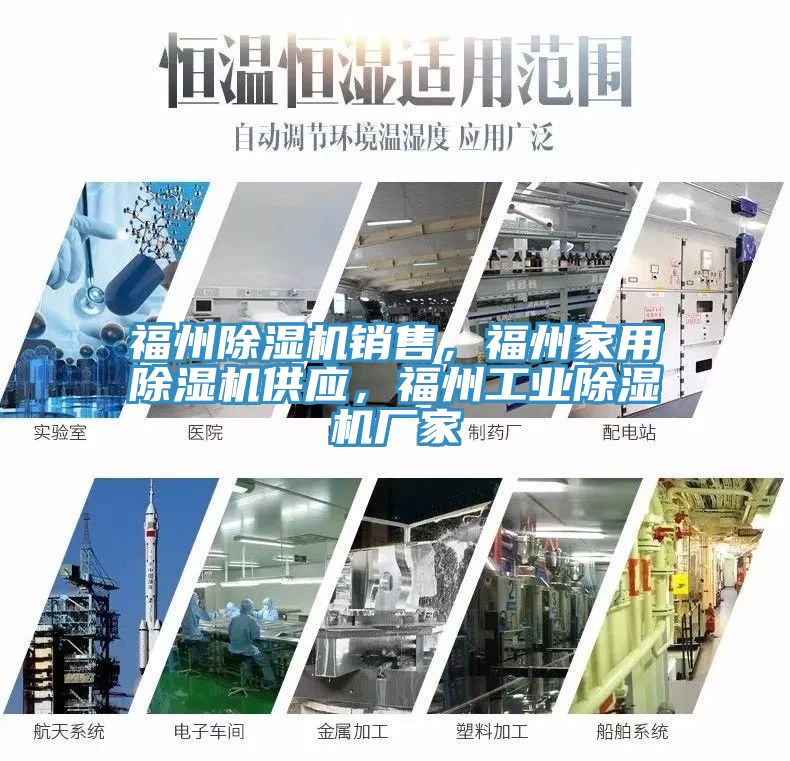 福州蘑菇视频网站銷售，福州家用蘑菇视频网站供應，福州工業蘑菇视频网站廠家
