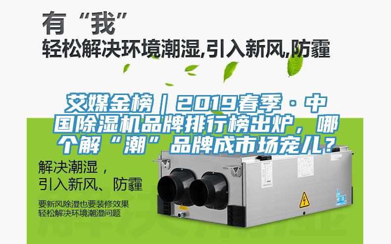 艾媒金榜｜2019春季·中國蘑菇视频网站品牌排行榜出爐，哪個解“潮”品牌成市場寵兒？