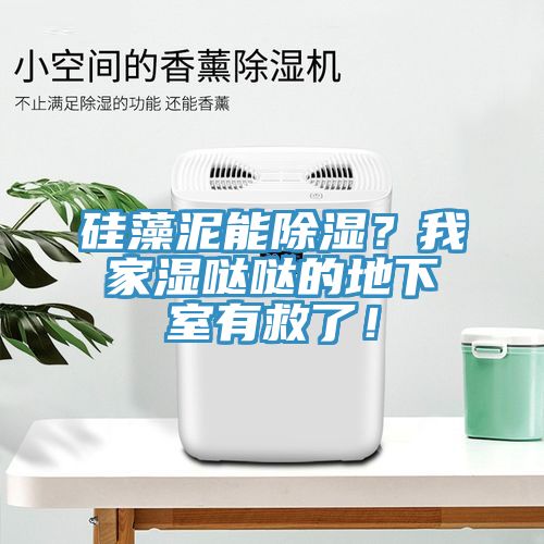 矽藻泥能除濕？我家濕噠噠的地下室有救了！