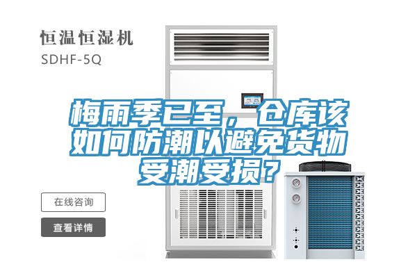 梅雨季已至，倉庫該如何防潮以避免貨物受潮受損？