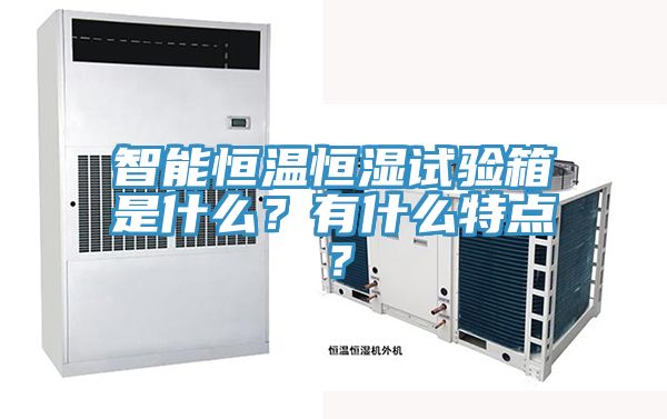 智能恒溫恒濕試驗箱是什麽？有什麽特點？