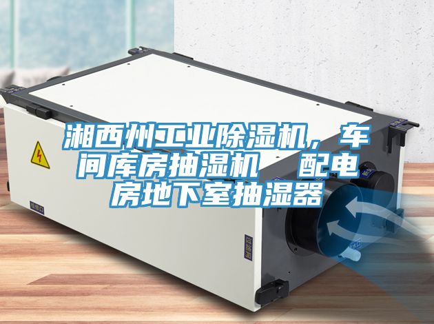 湘西州工業蘑菇视频网站，車間庫房抽濕機  配電房地下室抽濕器